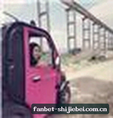 赵磊